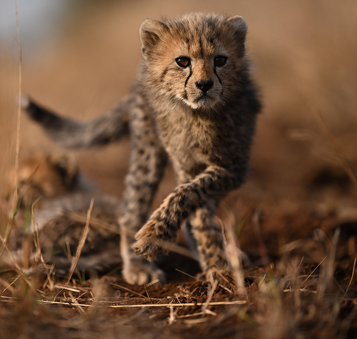 Real-Live Viewfinder